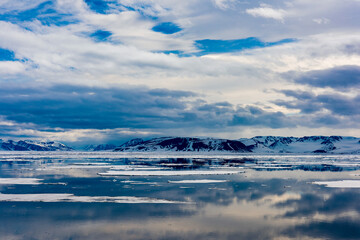 Ice pieces on the water in Arctic