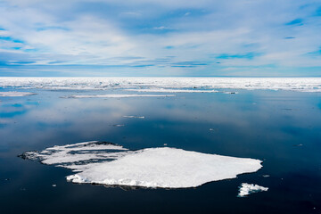 Fototapeta premium Ice pieces on the water in Arctic