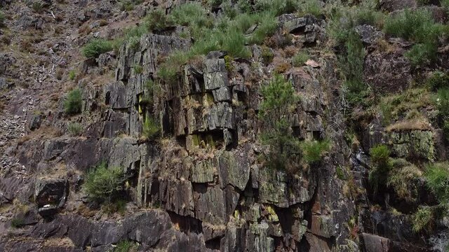 Canyon