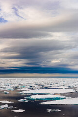 Ice pieces on the water in Arctic