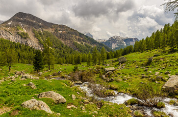 Fototapeta na wymiar Alpine green valley in spring . Mountain nature landscape with grassy meadow and cloudy sky.