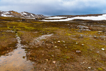Nature of New London mining settlement, Svalbard archipelago