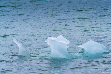 Small Ice pieces on the water in Arctic