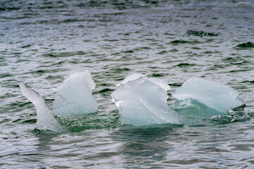 Naklejka premium Small Ice pieces on the water in Arctic