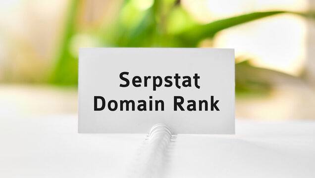 Domain rank business seo concept text on a white notebook and green flowers