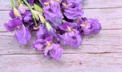 Bouquet in a bunch of purple iris flowers
