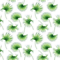 Watercolor painting coconut,palm leaf,green leave seamless pattern background.Watercolor hand drawn illustration tropical exotic leaf prints for wallpaper,textile Hawaii aloha jungle style pattern.