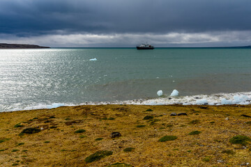 Green nature of the Svalbard archipelago