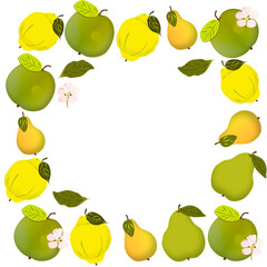 Collage of apples, pears and quinces on a white background in the shape of a square frame for text. Banner, postcard, advertisement.