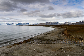 Nature of the Svalbard archipelago