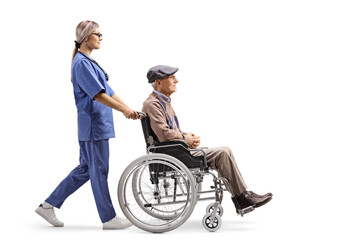Female nurse pushing an elderly man in a wheelchair - obrazy, fototapety, plakaty