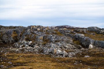 Stones and Nature of the Svalbard archipelago