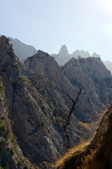 mountains of picos de europa in northern Spain region of Asturias, Cantabria ans Castilla y Leon