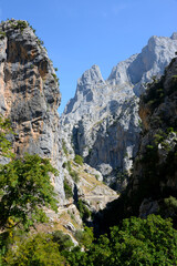 mountains of picos de europa in northern Spain region of Asturias, Cantabria ans Castilla y Leon