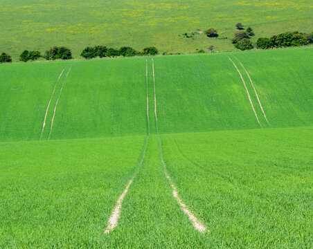 Tracktor tracks lead into the rolling lush green dipping sussex farmland