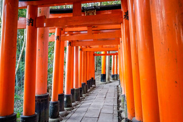 伏見稲荷大社
