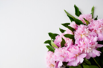 Bouquet of fresh cut beutiful pastel pink peonies in full bloom on white, top view. Flower background for greeting card or decoration. Copy space.