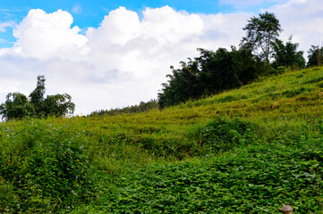 It's Natural landscape of the Northern Vietnam