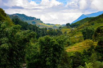 Fototapeta na wymiar It's Nature of the green hills of Vietnam