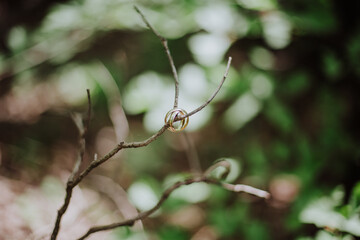 Plain gold wedding rings placed on a branch in the forest, with copy space