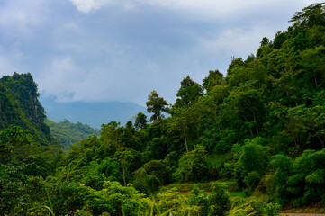 It's Natural landscape of the Northern Vietnam