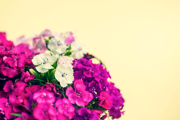 carnation bouquet on a light background. place for text