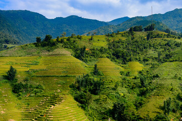 It's Nature landscape and rice terrace of Northern Vietnam