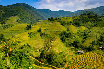Fototapeta na wymiar It's Nature landscape and rice terrace of Northern Vietnam
