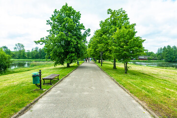 Białowieski Park Narodowy Białowieża Podlasie Ścieżka droga drzewa park 