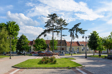 Fototapeta premium Vrsac, Serbia - June 04, 2020: The pedestrian zone in Vrsac, Serbia. Centuries old meeting place of the townsfolk. Russian Park.