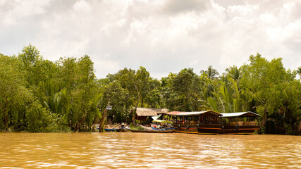 Fototapeta na wymiar It's Nature of the Mekong river in Southern Vietnam.