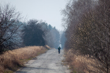 Obraz premium country road early spring. distant cyclist