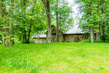 Białowieski Park Narodowy Białowieża Podlasie Dom budynek drzewa