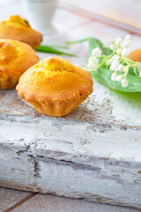 Bran muffins or cupcakes with raisin, vintage shabby background