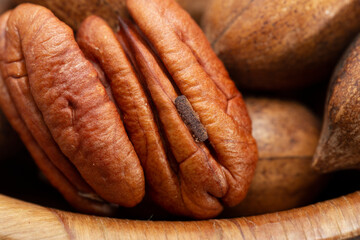 Pecan (Carya illinoinensis) is a species of hickory native to northern Mexico. The seed is an edible nut.