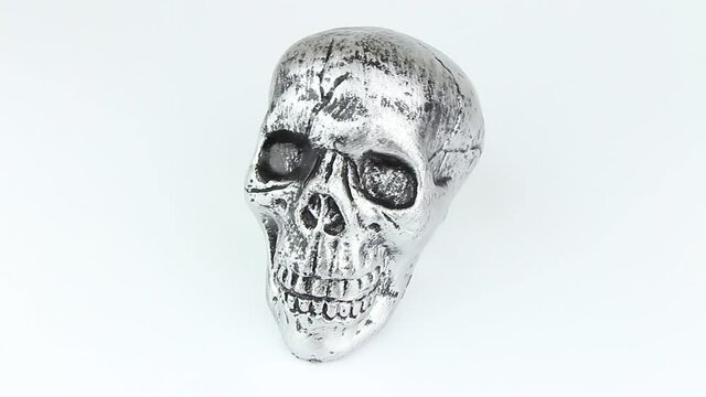 Skull isolated white background halloween concept ideas