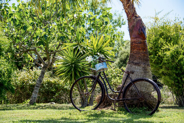 Fototapeta na wymiar Bicycle decoration in nature landscape