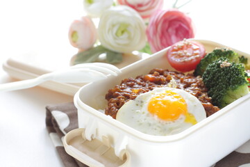 Japanese food, keema curry and rice in bento for lunch
