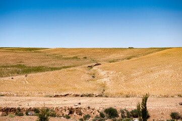 Fototapeta premium It's Beautiful nature of a desert