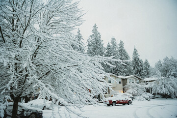 Snow day  in WA, USA (February, 2020)