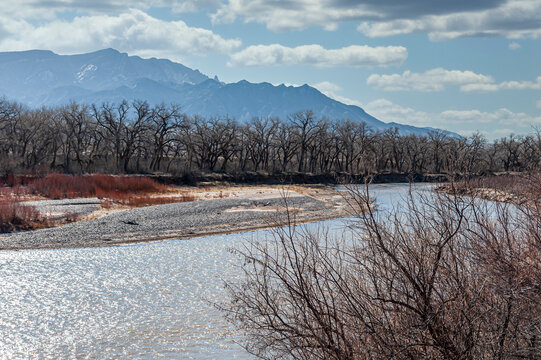Winter Along the Rio Grande River with the Sandia Mountains in Background