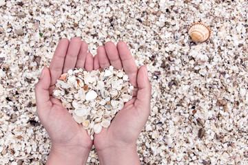 Corazón de playa en las manos, pechinas y conchas