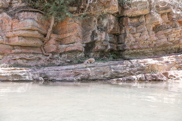 Paradise Valley Agadir Morocco.