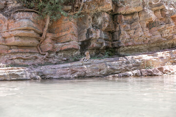 Paradise Valley Agadir Morocco.