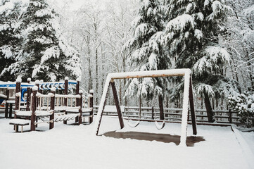 Snow day  in WA, USA (February, 2020)
