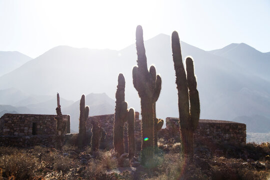 Different shapes and colors in the mountains due to erosion by the wind and the elements.