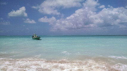 Fototapeta premium tropical beach in maragogi brazil