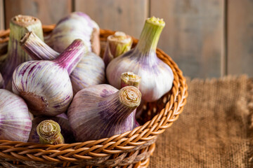 Fresh garlic on a wooden background. Fragrant spice for cooking.