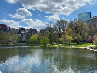 Boston Public Garden