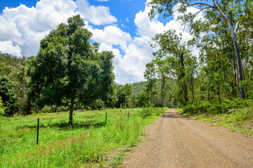 Fototapeta na wymiar grazing paddock next to a gravel road, in Kroombit Tops National Park, Queensland